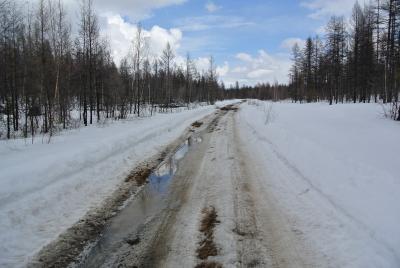 Прикрепленное изображение: DSC_4809.JPG