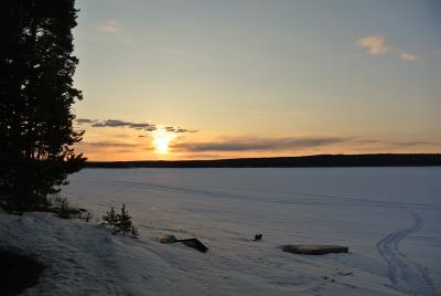 Прикрепленное изображение: DSC_4774.JPG