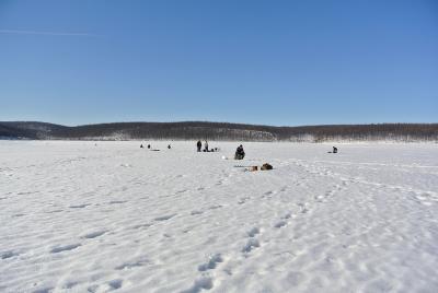 Прикрепленное изображение: DSC_4822.JPG