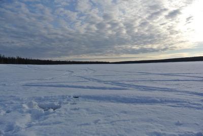 Прикрепленное изображение: DSC_4786.JPG