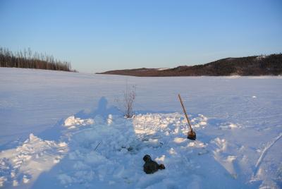 Прикрепленное изображение: DSC_4728.JPG