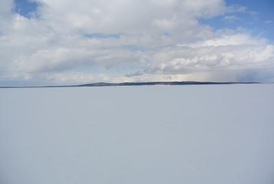 Прикрепленное изображение: DSC_4794.JPG