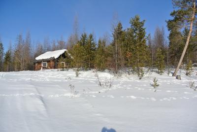 Прикрепленное изображение: DSC_4612.JPG
