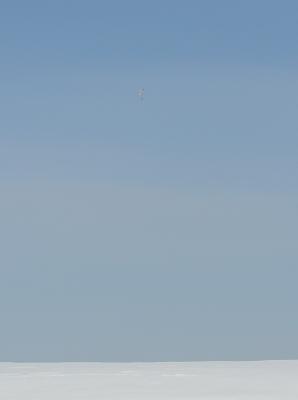 Прикрепленное изображение: DSC_4710.JPG