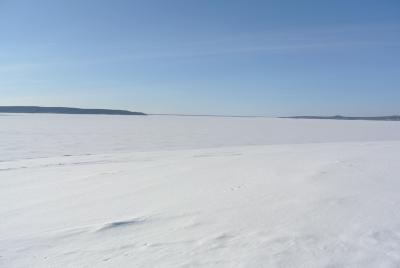 Прикрепленное изображение: DSC_4613.JPG