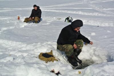 Прикрепленное изображение: DSC_4780.JPG