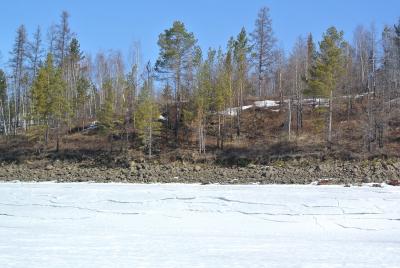 Прикрепленное изображение: DSC_4826.JPG