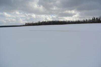 Прикрепленное изображение: DSC_4804.JPG