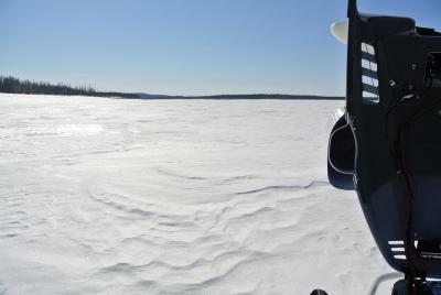 Прикрепленное изображение: DSC_4761.JPG