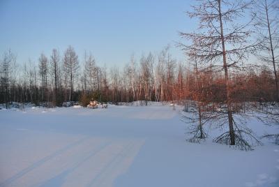 Прикрепленное изображение: DSC_4718.JPG