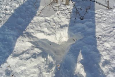 Прикрепленное изображение: DSC_4618.JPG