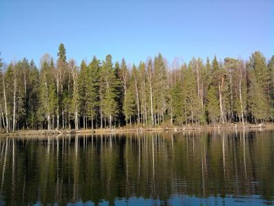 Прикрепленное изображение: с лодки.jpg