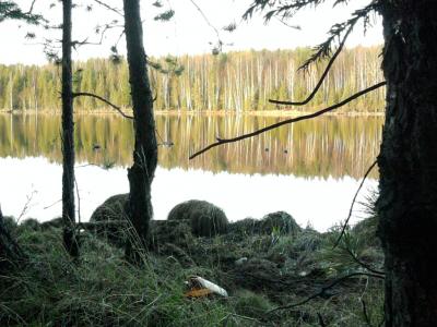 Прикрепленное изображение: манки.jpg