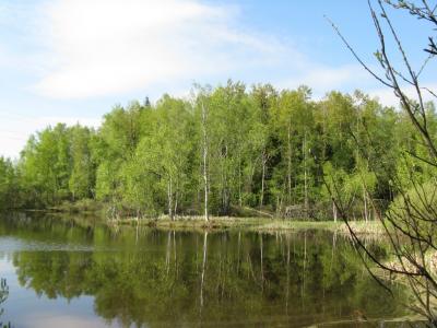 Прикрепленное изображение: IMG_2430.jpg