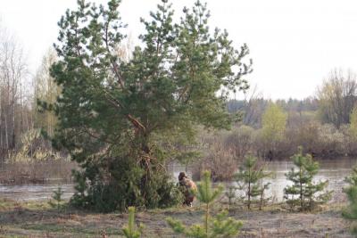 Прикрепленное изображение: IMG_8173.JPG