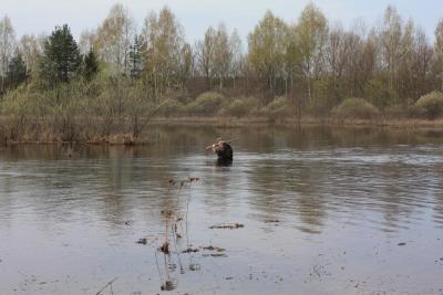 Прикрепленное изображение: IMG_8057.JPG