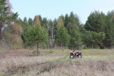 Прикрепленное изображение: IMG_8064.JPG