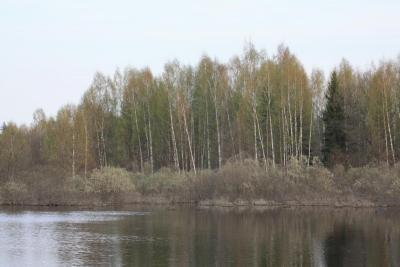 Прикрепленное изображение: IMG_8180.JPG