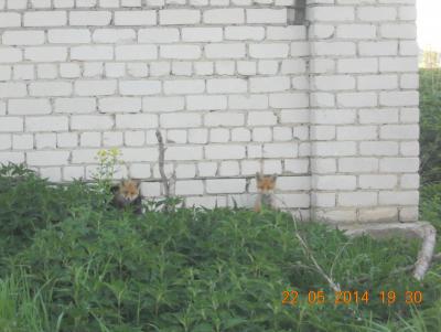 Прикрепленное изображение: DSCN0948.JPG