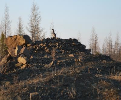 Прикрепленное изображение: DSC_0096.JPG