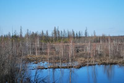 Прикрепленное изображение: DSC_0026.JPG