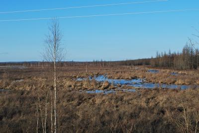Прикрепленное изображение: DSC_0046.JPG