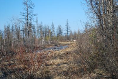Прикрепленное изображение: DSC_0027.JPG