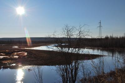 Прикрепленное изображение: DSC_0053.JPG