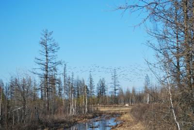 Прикрепленное изображение: DSC_0033.JPG
