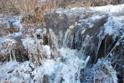 Прикрепленное изображение: DSC_0234.JPG