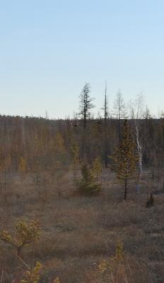Прикрепленное изображение: DSC_0452.JPG