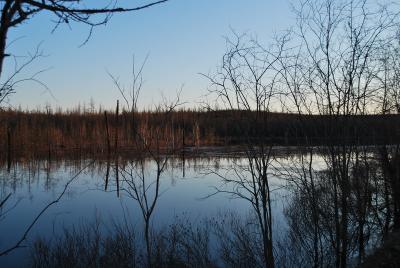 Прикрепленное изображение: DSC_0445.JPG