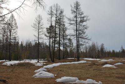 Прикрепленное изображение: DSC_0329.JPG