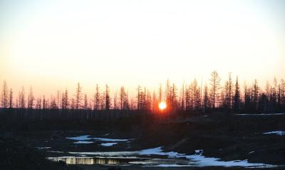 Прикрепленное изображение: DSC_4838.JPG