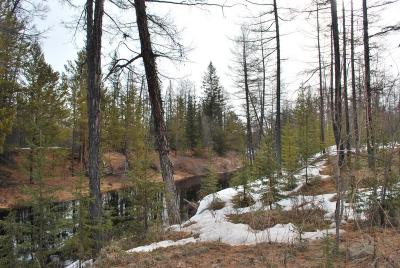 Прикрепленное изображение: DSC_0334.JPG