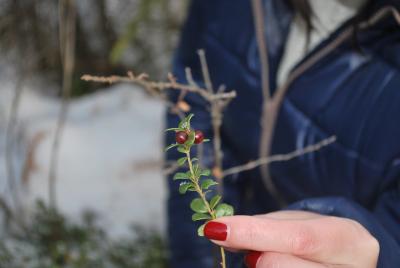 Прикрепленное изображение: DSC_0227.JPG