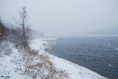 Прикрепленное изображение: DSC_0423.JPG