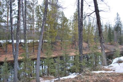 Прикрепленное изображение: DSC_0335.JPG