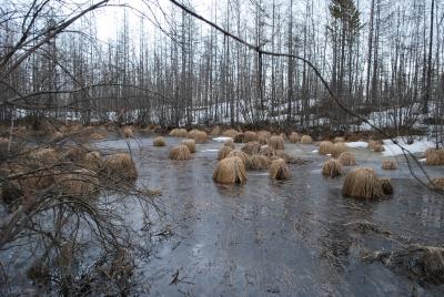 Прикрепленное изображение: DSC_0394.JPG