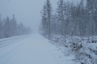 Прикрепленное изображение: DSC_0418.JPG