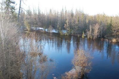 Прикрепленное изображение: DSC_0455.JPG