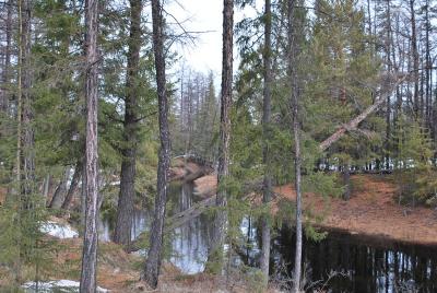 Прикрепленное изображение: DSC_0330.JPG