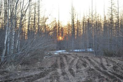 Прикрепленное изображение: DSC_0439.JPG