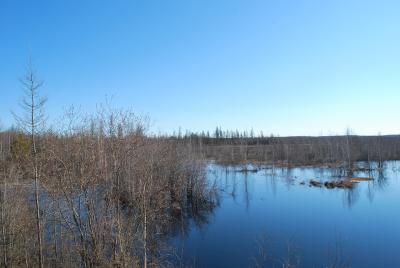 Прикрепленное изображение: DSC_0458.JPG