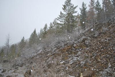 Прикрепленное изображение: DSC_0411.JPG