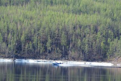 Прикрепленное изображение: DSC_2895.JPG