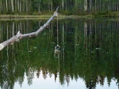 Прикрепленное изображение: DSCN5238.JPG