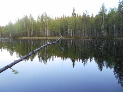 Прикрепленное изображение: DSCN5237.JPG