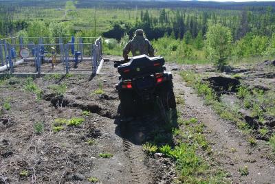Прикрепленное изображение: DSC_5349.JPG