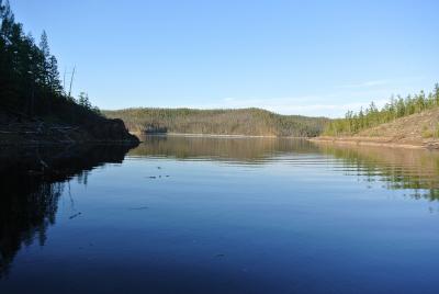 Прикрепленное изображение: DSC_5319.JPG